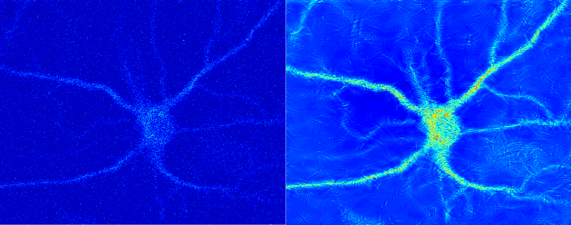 Biomedical Imaging | Microscopic Image Enhancement | Signal & Image Processing - Lolaark Vision